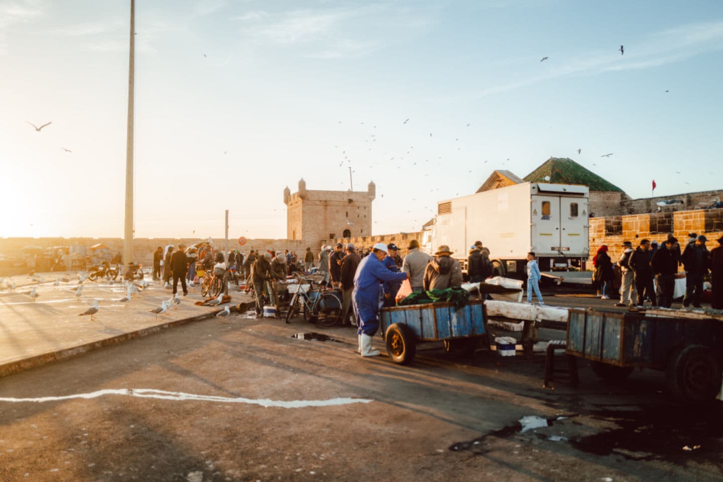 Coastal Towns