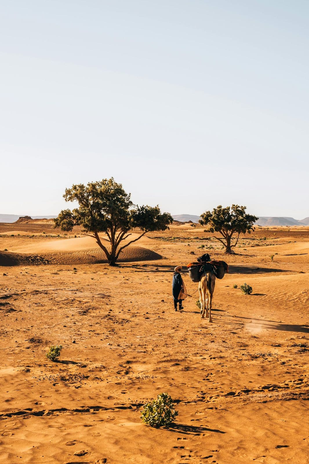 Atlas Nomad Morocco